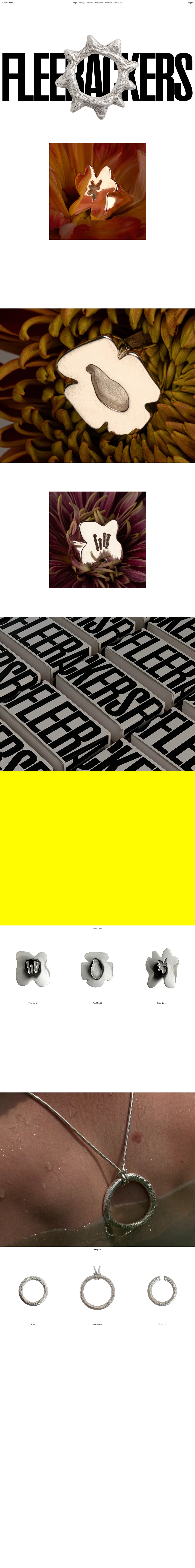 Fleerackers desktop landing page