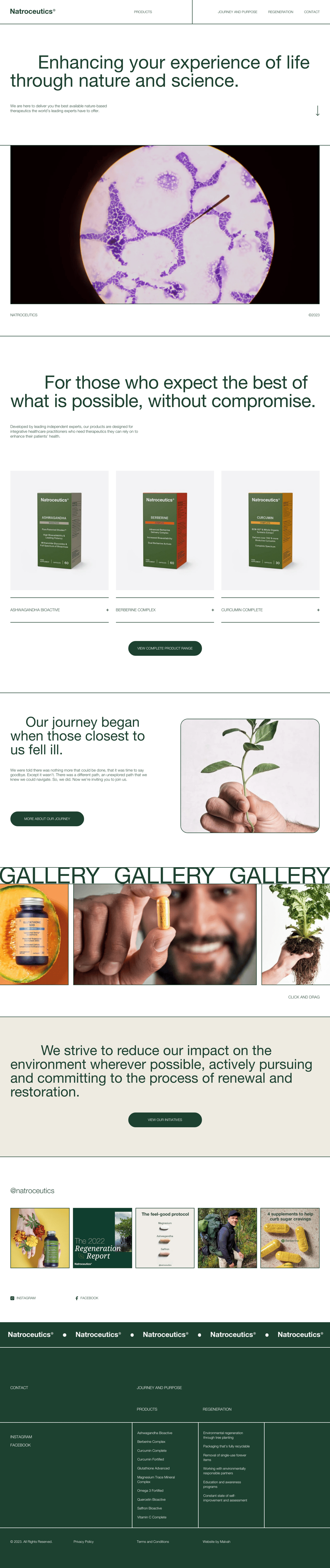 Natroceutics desktop landing page