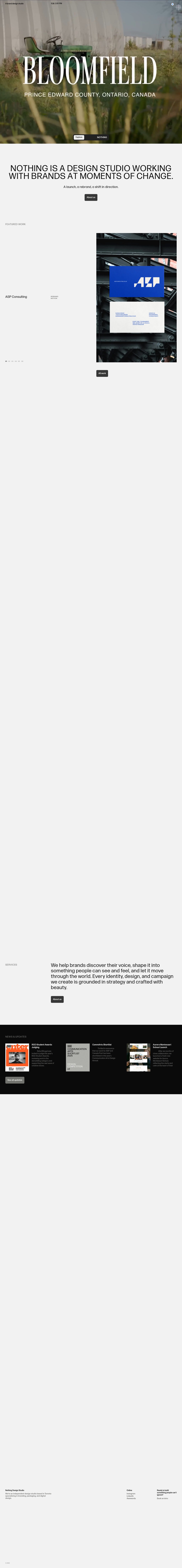 Nothing Design Studio: Brand Strategy consultacy and Design Studio desktop landing page