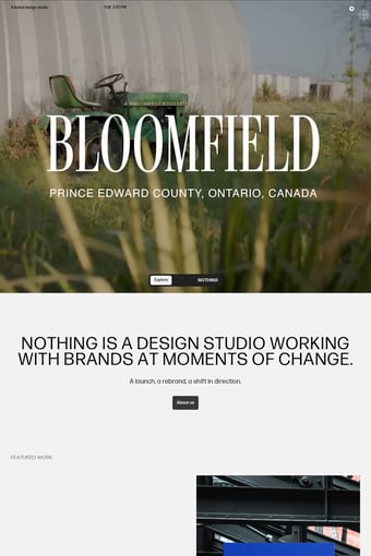Nothing Design Studio: Brand Strategy consultacy and Design Studio landing page