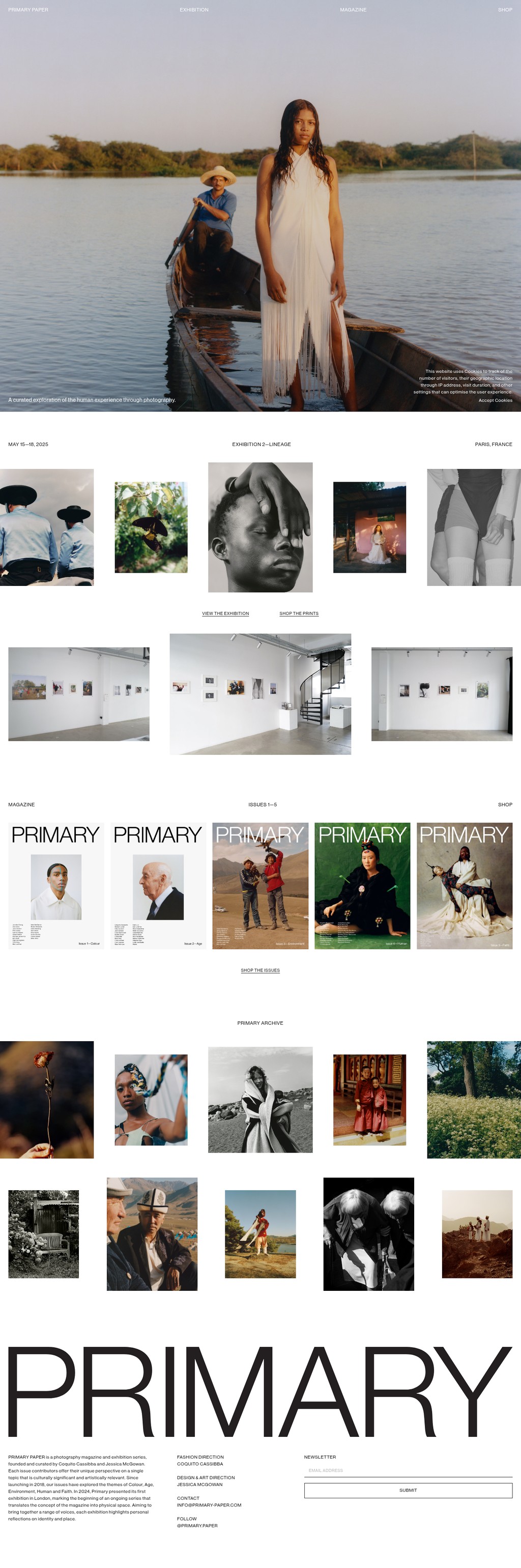 PRIMARY PAPER desktop landing page