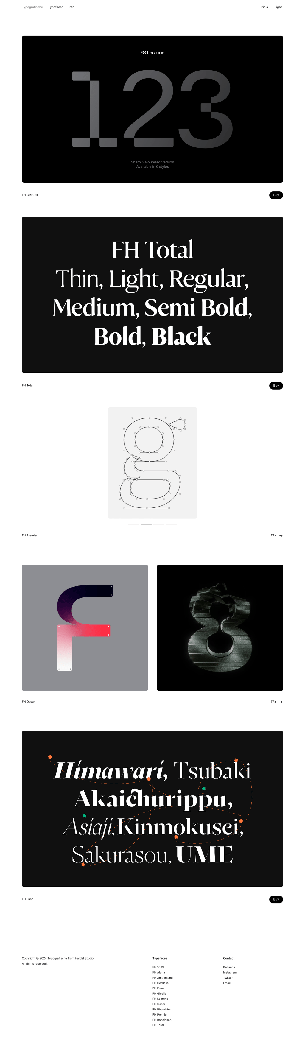 Typografische desktop landing page