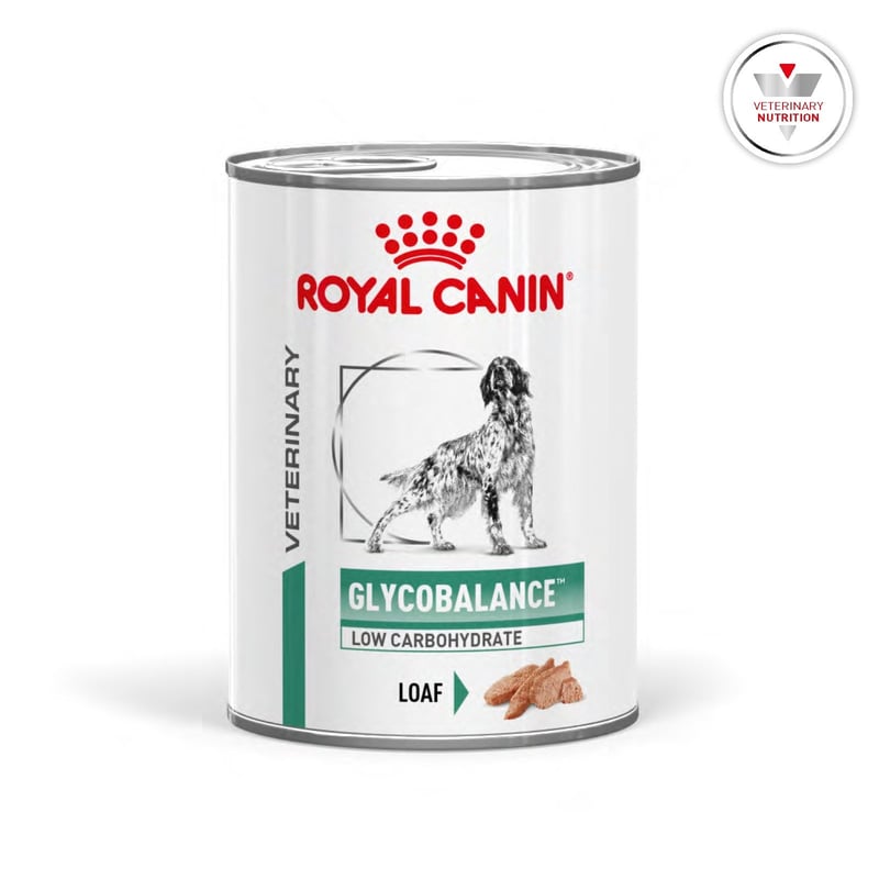 Dog Dry Food