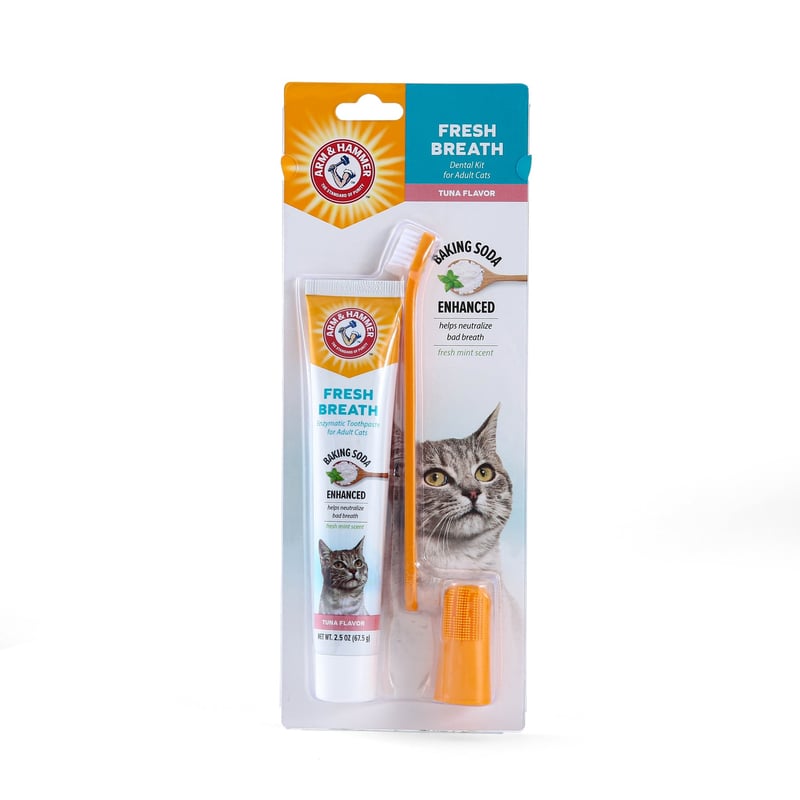 Cat Grooming
