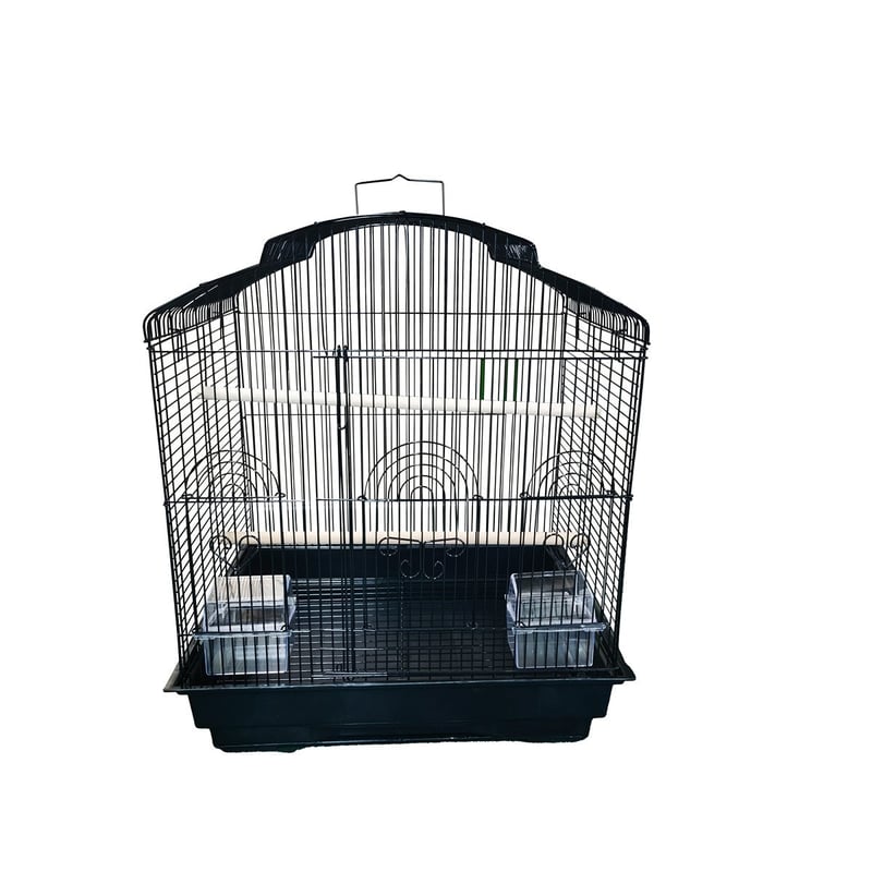 Bird Cages & Accessories