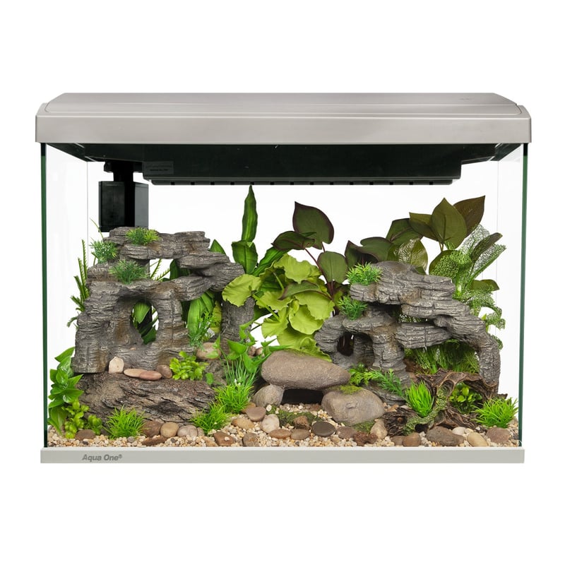 Aquariums & Tanks