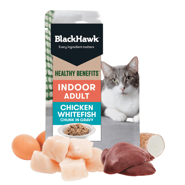 Black Hawk Healthy Benefits Adult Indoor Chicken & Fish In Gravy Wet Cat Food - 85g X 12