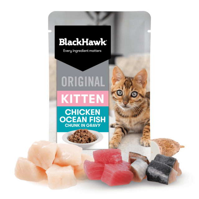 Black Hawk Original Kitten Chicken & Fish In Gravy Wet Cat Food - 85g X 36