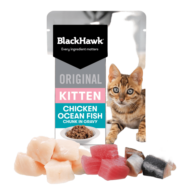 Black Hawk Original Kitten Chicken & Fish In Gravy Wet Cat Food - 85g X 36
