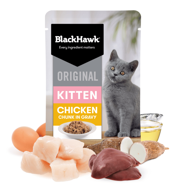 Black Hawk Original Kitten Chicken In Gravy Wet Cat Food - 85g X 24