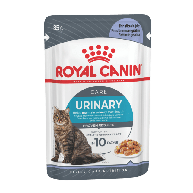 Royal Canin Urinary Care Jelly Adult Wet Cat Food