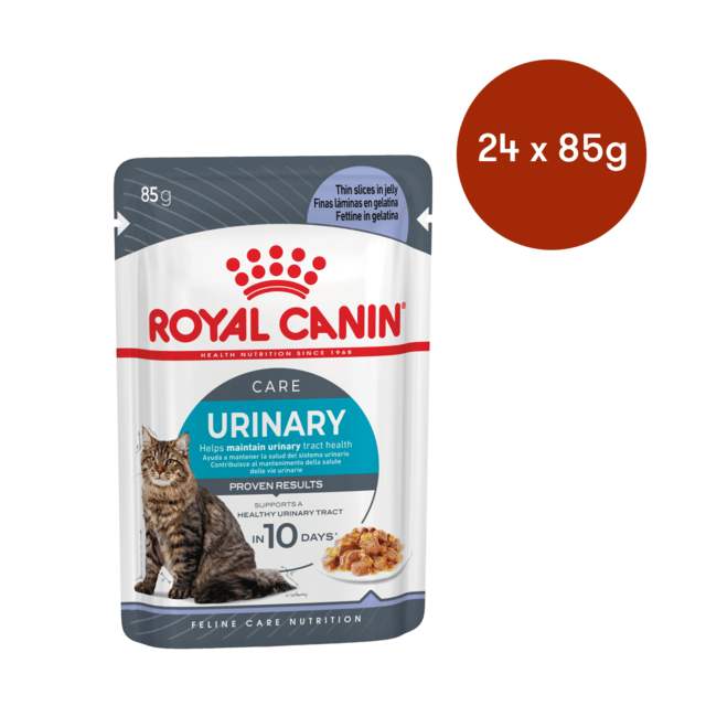 Royal Canin Urinary Care Jelly Adult Wet Cat Food - 85g X 24