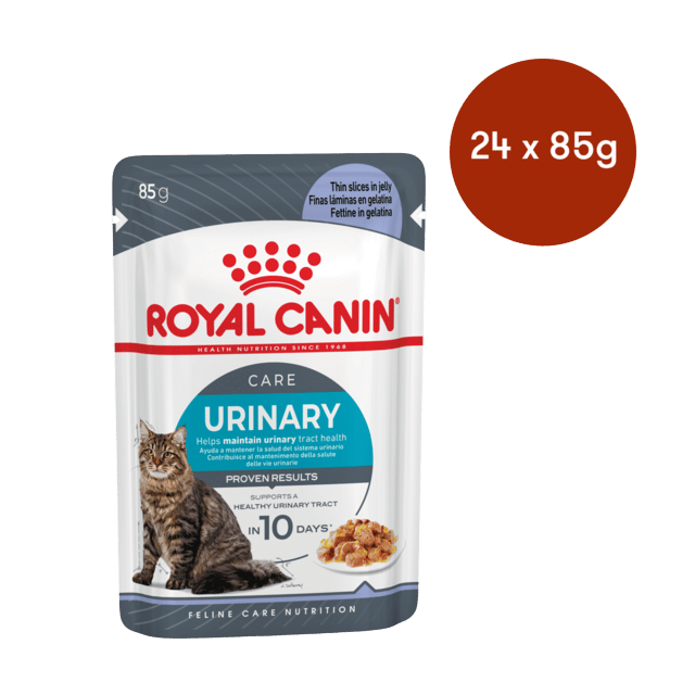 Royal Canin Urinary Care Jelly Adult Wet Cat Food - 85g X 24