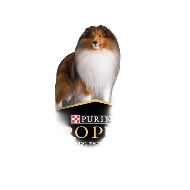 Pro Plan Adult Medium Breed Chicken Dry Dog Food - 30kg (2x 15kg Bags)