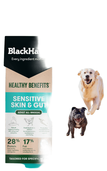 Black Hawk Healthy Benefits Sensitive Skin & Gut Dry Dog Food