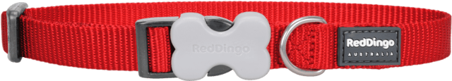 Red Dingo Plain Adjustable Dog Collar - Red, Medium