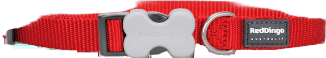 Red Dingo Plain Adjustable Dog Collar - Red, Medium