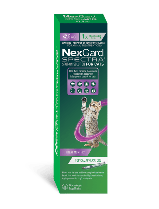 Nexgard Spectra Cat Spot-On Flea Tick & Worm Treatment - 0.8 - 2.4kg, Single