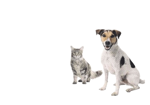 Vetplus Samylin Cat & Dog Liver Supplement Tablets - Cat & Small Breed Dog, 30 Pack