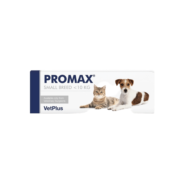 Vetplus Promax Dog & Cat Digestive Support - Cat & Small Breed <10kg