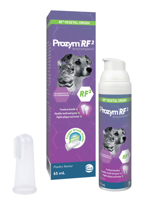 Prozym Cat & Dog Toothpaste Kit - Kit