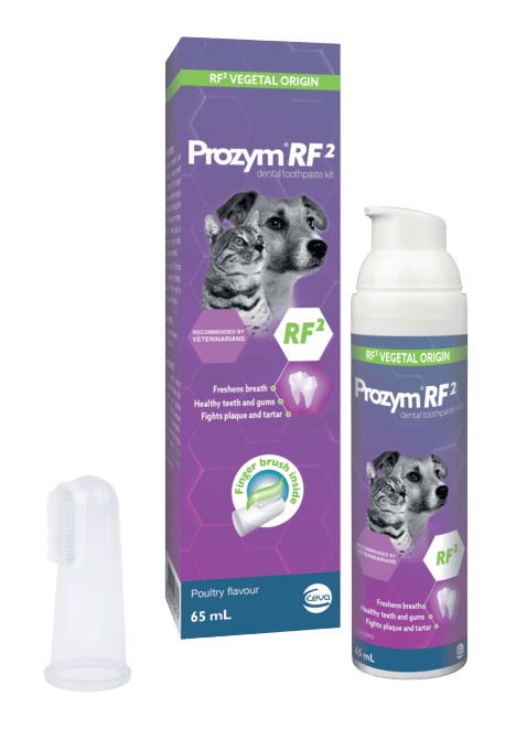 Prozym Cat & Dog Toothpaste Kit - Kit