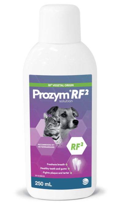 Prozym Cat & Dog Plaque & Tartar Water Additive