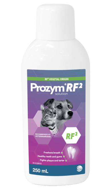 Prozym Cat & Dog Plaque & Tartar Water Additive