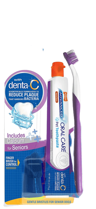 Nylabone Advanced Oral Care Senior Dog Dental Kit Bacon Flavour