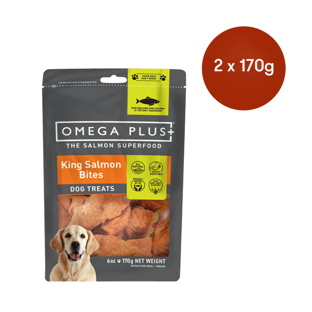 Omega Plus King Salmon Bites Dog Treats - 340g ( 2 X 170g Bags)