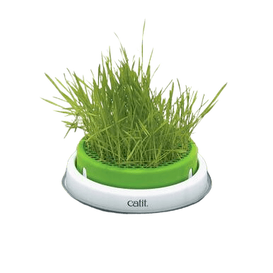 Catit Senses 2.0 Cat Grass Planter - Grass Planter