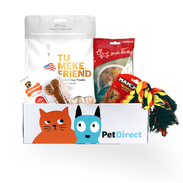 Petdirect Tough Chewer Dog Toy & Treat Goody Box - Small Breed