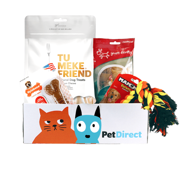 Petdirect Tough Chewer Dog Toy & Treat Goody Box - Small Breed