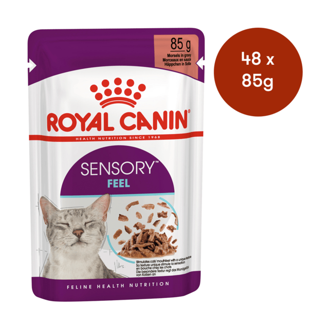 Royal Canin Sensory Feel In Gravy Wet Cat Food - 85g X 48