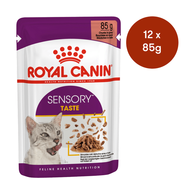 Royal Canin Sensory Taste In Gravy Wet Cat Food - 85g X 12