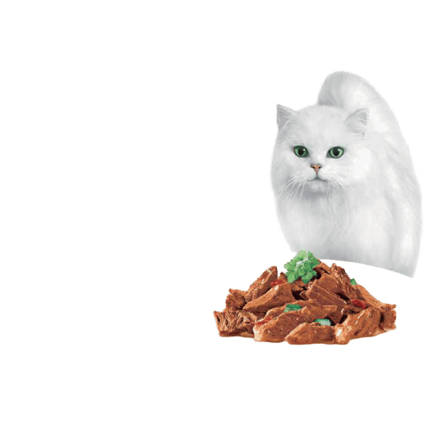 Fancy Feast Inspirations Tuna Courgette & Rice And Beef Courgette & Tomato Wet Cat Food Variety Pack - 70g X 12