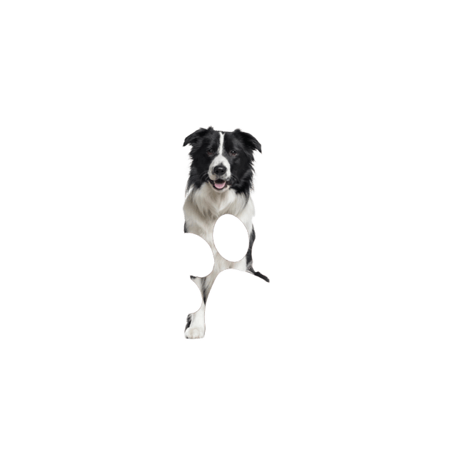 Happypet Venison Steak PET Treats
