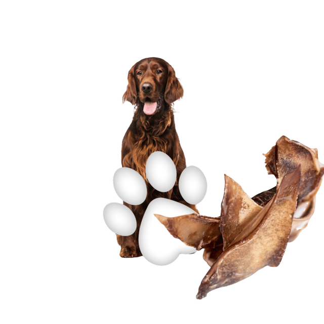 Happypet Venison Nachos Dog Treats - 20 Pack