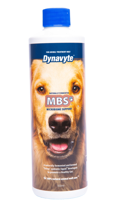 Dynavyte Mbs Dog Microbiome Support Supplement