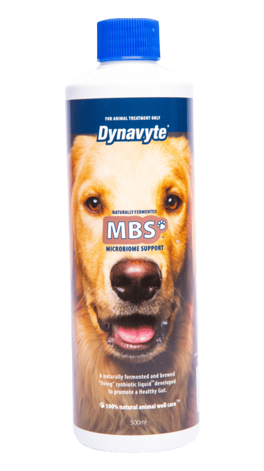 Dynavyte Mbs Dog Microbiome Support Supplement