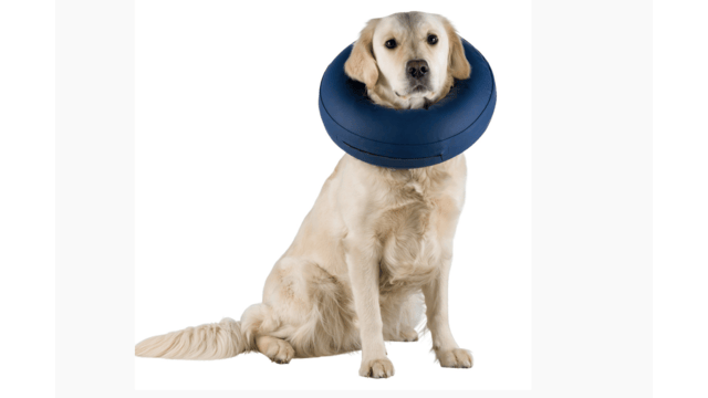 Trixie Dog Protective Inflatable Collar - Small