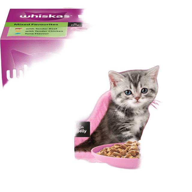 Whiskas Mixed Favourites In Jelly Kitten Wet Cat Food Variety Pack - 85g X 12