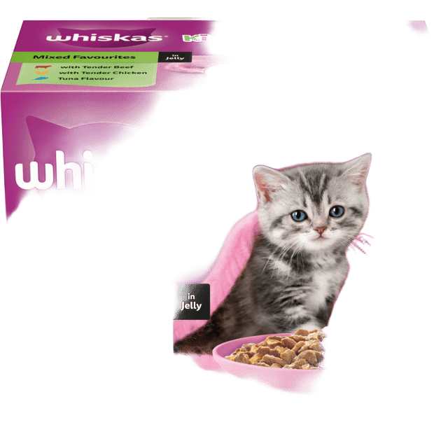 Whiskas Mixed Favourites In Jelly Kitten Wet Cat Food Variety Pack - 85g X 48