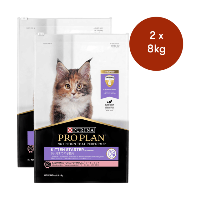 Pro Plan Kitten Starter Salmon & Tuna Dry Cat Food - 16kg (2 X 8kg Bags)