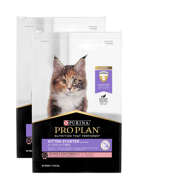 Pro Plan Kitten Starter Salmon & Tuna Dry Cat Food - 16kg (2 X 8kg Bags)