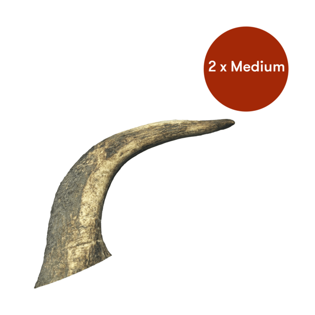 Platinum Ranch Assorted Deer Antler Dog Chew - Medium X 2