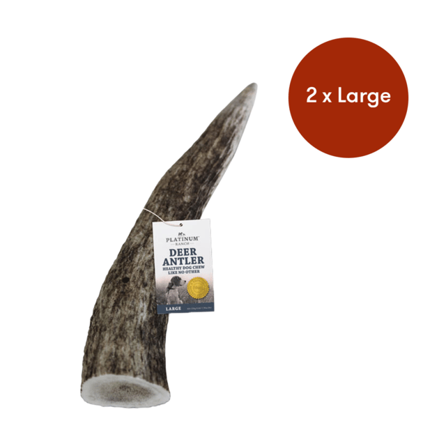 Platinum Ranch Assorted Deer Antler Dog Chew - Large X 2