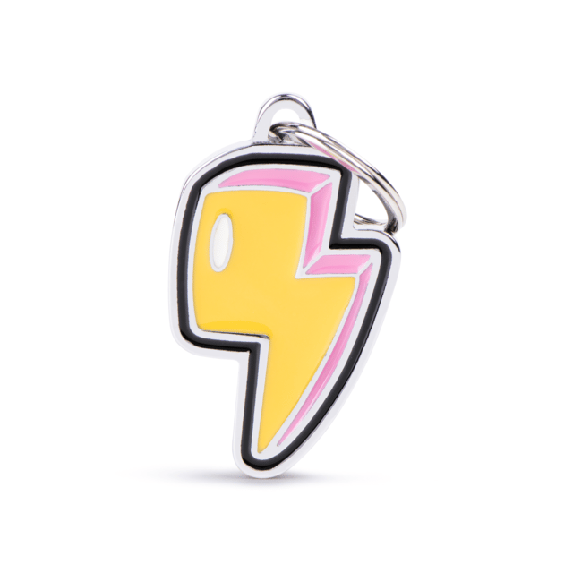 My Family Assorted Cat And Dog Charm Tags - Lightning Bolt, Medium