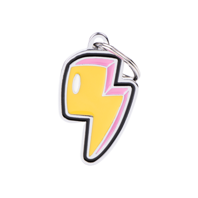 My Family Assorted Cat And Dog Charm Tags - Lightning Bolt, Medium