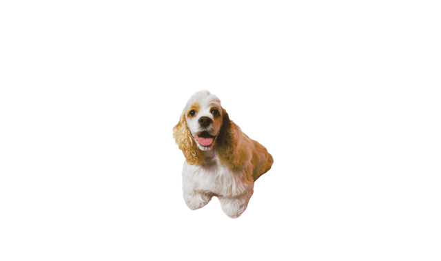 Revolution Spot-On Flea Treatment For Dogs - 10.1 - 20kg, 3 Pack